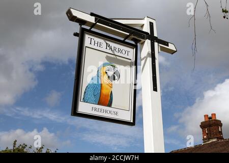The Parrot Pub is a public house located in the beautiful village of Forest Green, set deep in the Surrey Hills. August 2020 Stock Photo