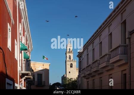 View along the colonial buildings with Mexican flag and birds flying to the tower of the cathedral of Merida, Yucatan, Mexico Stock Photo