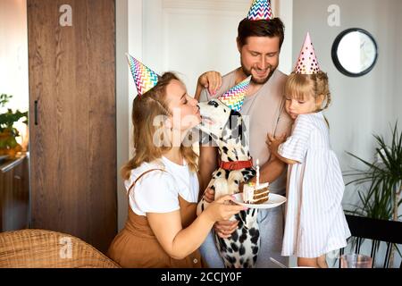 beautiful happy family celebrate birthday together, sit in the kitchen wearing party hats, man woman child and dog pet at home Stock Photo