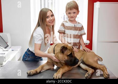 owners of the dog calm down, hug the dog before the examination in vet clinic, feel love and friendship. dog and people concept Stock Photo