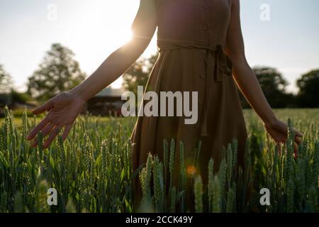 Young woman in a grain field in the countryside touching ears Young woman in a grain field in the countryside touching ears