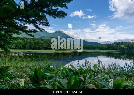 View of mountains and lakes in Shiretoko Five Lakes National Park 知床五湖 in Hokkaido, Japan. Image taken in summer. Stock Photo