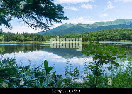 View of mountains and lakes in Shiretoko Five Lakes National Park 知床五湖 in Hokkaido, Japan. Image taken in summer. Stock Photo