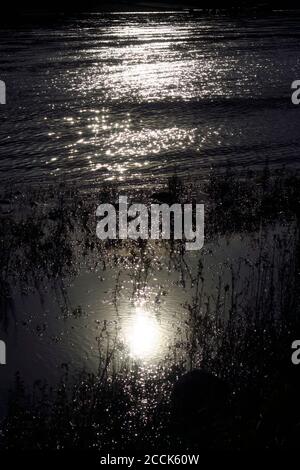 Setting sun reflecting on bank of Elbe Stock Photo