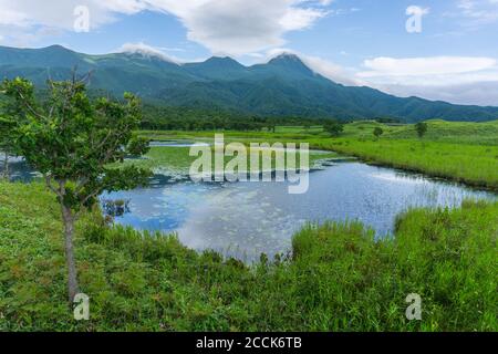 View of mountains and lakes in Shiretoko Five Lakes National Park 知床五湖 in Hokkaido, Japan. Image taken in summer. Stock Photo