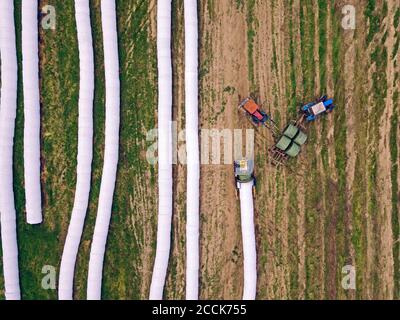 Aerial view of wrapped hay bales drying in field Stock Photo