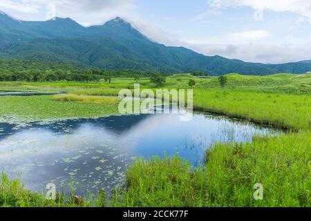 View of mountains and lakes in Shiretoko Five Lakes National Park 知床五湖 in Hokkaido, Japan. Image taken in summer. Stock Photo