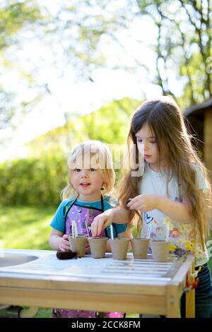 Cute girl planting seeds with sister in small pots on table at yard Stock Photo