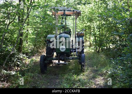 old tractor still in use Stock Photo