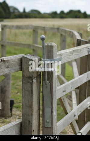 Five Bar wooden gate with lever mechanism in a pine forest, leading to ...