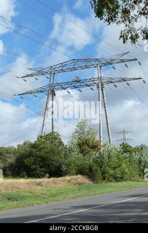 Group of electric pylons, high voltage lines. Overhead cables carrying electricity to cities. Stock Photo