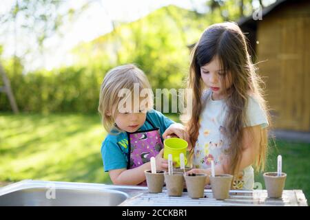 Cute girl watering plants while gardening with sister in at yard Stock Photo