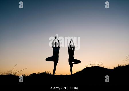 Women practicing practicing tree pose outdoors against clear sky Stock Photo