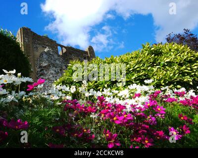 Guildford Castle, Guildford, Surrey, UK Stock Photo