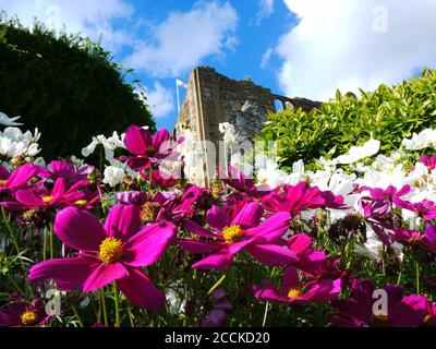 Guildford Castle, Guildford, Surrey, UK Stock Photo