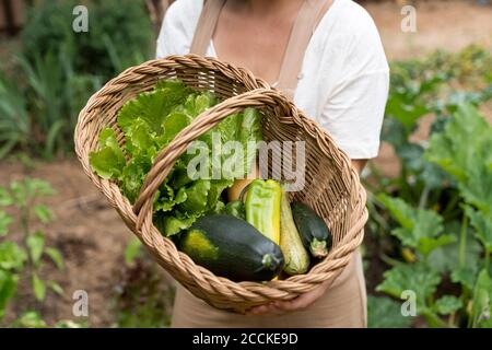 Close-up of young woman holding wicker basket with vegetables in yard Stock Photo