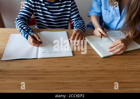 Female tutor with boy studying on table at home