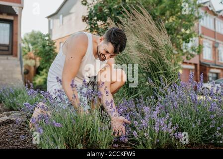 Man gardening in his front lawn Stock Photo