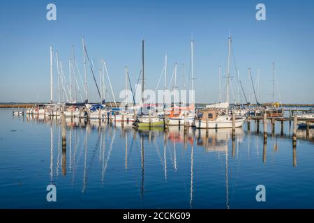 Yachts moored in a marina Stock Photo - Alamy