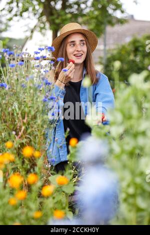 Smiling woman wearing hat eating strawberry while sitting amidst plants in garden Stock Photo