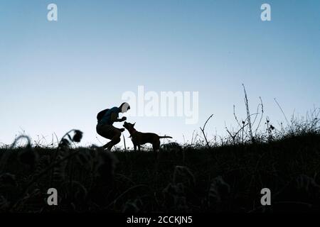 Man playing with his dog in the nature light at dawn Stock Photo