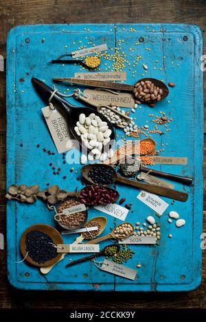 Various beans and lentils on blue rustic wooden surface Stock Photo