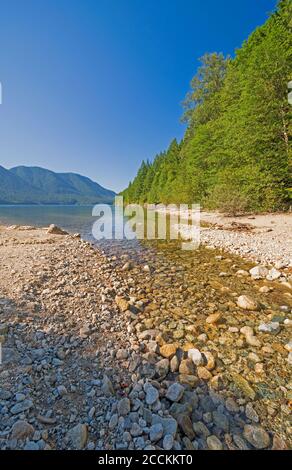 Calm Stream Emptying into an Alouette Lake in Golden Ears Provincial Park in British Columbia, Canada Stock Photo