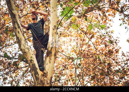 Low angle view of smiling man looking away while standing on tree trunk Stock Photo