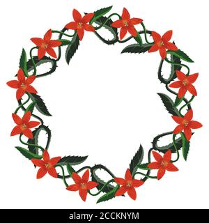 Beautiful wreath with red spiked flowers on white background Stock Vector