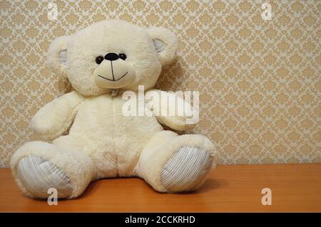Toy teddy bear cute soft animal. Soft childhood object gift plush funny Stock Photo