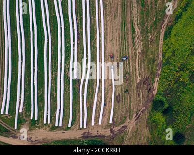 Aerial view of wrapped hay bales drying in field Stock Photo