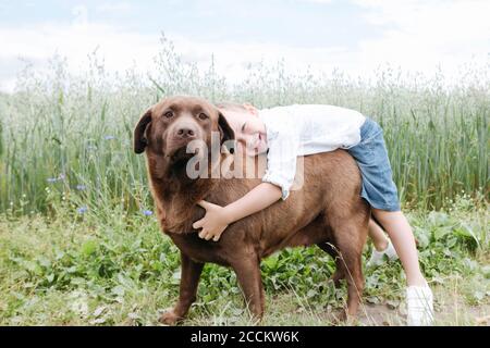 Smiling boy embracing Chocolate Labrador while standing against plants Stock Photo