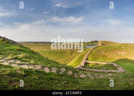 Milecastle 39 on Hadrian's Wall ancient historic monument from Roman times near Sycamore Gap, Northumberland on a sunny evening in summer time. Stock Photo