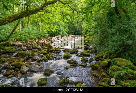 The River Plym on dartmoor flowing past Dewerstone on towards Plymouth in Devon,UK. Stock Photo