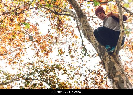 Low angle view of man climbing on tree during autumn