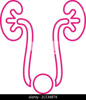 Human kidney icon - Perfect for use in designing and developing websites, printed files and presentations, Promotional Materials, Illustrations or any Stock Vector