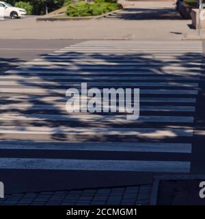 Empty pedestrian crossing in the summer city. Sunny streets without anyone. Walking tour of the city. Stock Photo