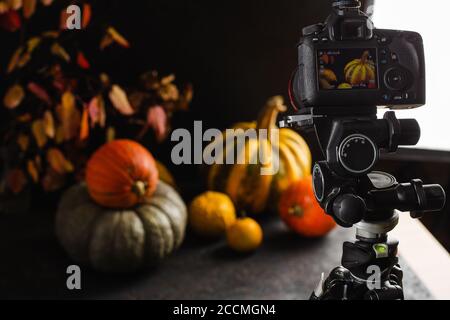 Autumn still life with pumpkins. Studio photo. Stock Photo