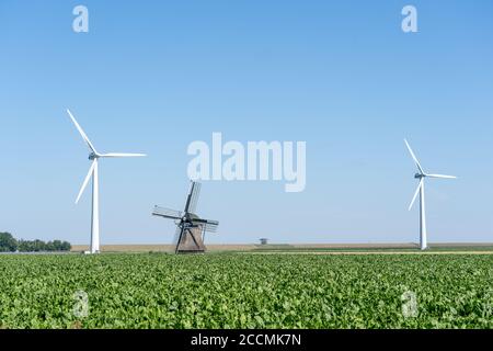 Big contrast of an old traditional windmill among modern wind turbines under a clear blue sky Stock Photo