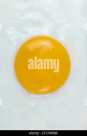 Fried egg sunny side up close up. Vertical top view. Stock Photo
