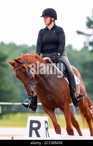 Raeford, North Carolina, USA. 22nd Aug, 2020. Aug. 22, 2020 - Raeford, North Carolina, USA - ALEXA BROGNA riding Jax competes in dressage at the 2020 War Horse Event Series, Aug. 22 at Carolina Horse Park in Raeford, N.C. Founded in 2013 as the Cabin Branch Event Series, the War Horse Event Series consists of five horse trials and combined tests and attracts riders and their horses from across the eastern United States. Credit: Timothy L. Hale/ZUMA Wire/Alamy Live News Stock Photo