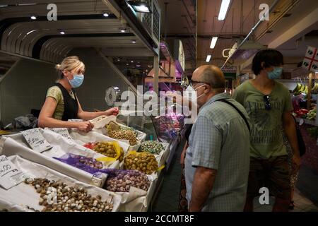 fishtrader selling snails in sardinian fishmarket Stock Photo