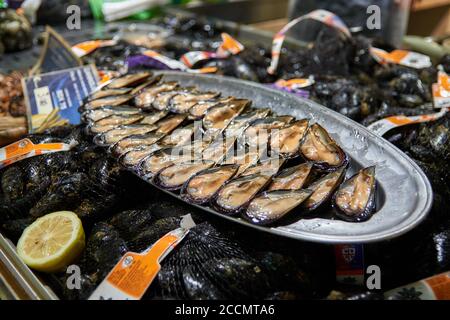 Platters with raw mussels seafood at sardinian fish market Stock Photo