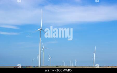 Wind turbines are installed in the steppe on a background of blue sky Stock Photo