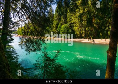 Queets River through Lower Queets Valley in Olympic National Park Stock Photo