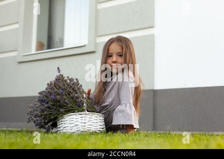 Adorable child in grey dress holding armful of lavender in white basket Stock Photo