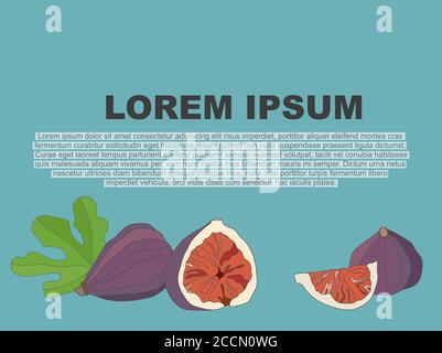 Vector background copy place. Cartoon image figs whole and in a cut and leaves Stock Vector