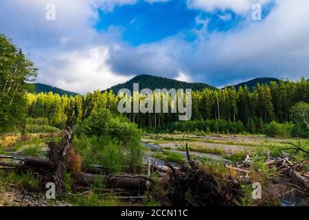 Low clouds brush the mountains surrounding the Hoh River in the Hoh Rain Forest in Olympic National Park Stock Photo