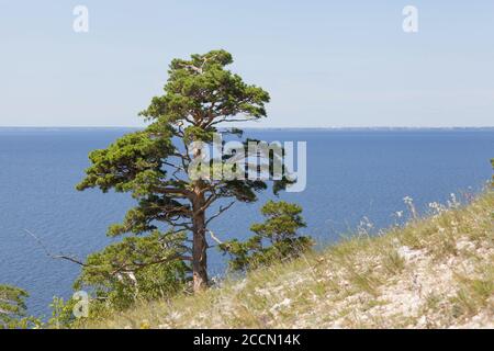 Amazing view on the Volga river in Togliatty Zhiguli mountains Stock Photo