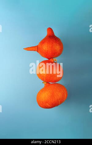 A snowman with a carrot nose of three orange pumpkins on a blue background. Halloween concept. Stock Photo